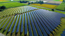 Electrical_262x145 (1).jpg